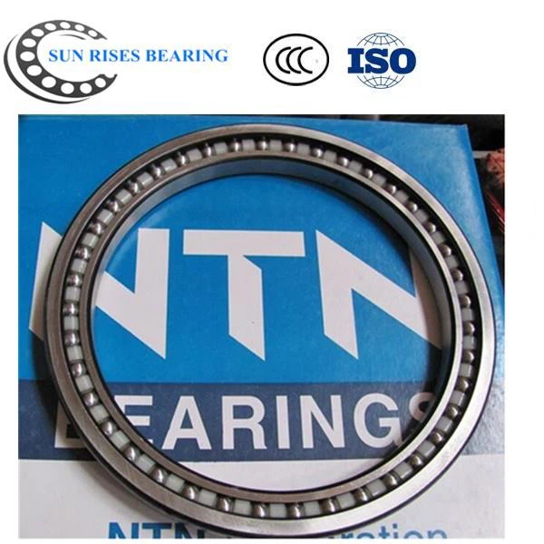 DE1813PX Bearing