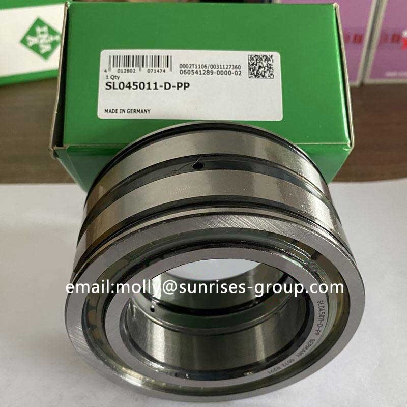 SL045011-D-PP